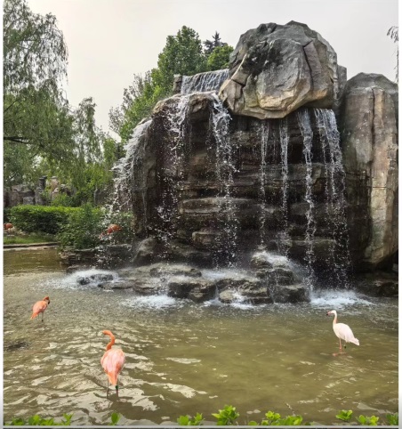 1716796569588910.jpg 天津內(nèi)頁(yè)1.jpg